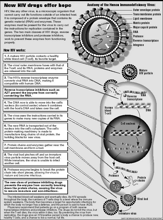 Gary Newman Design For Infographics